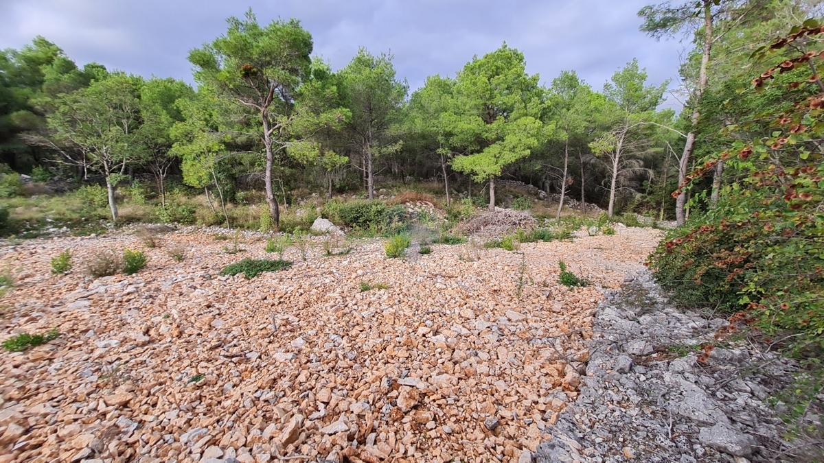 Terreno Dubrava Kod Šibenika, Šibenik - Okolica, 1.000m2