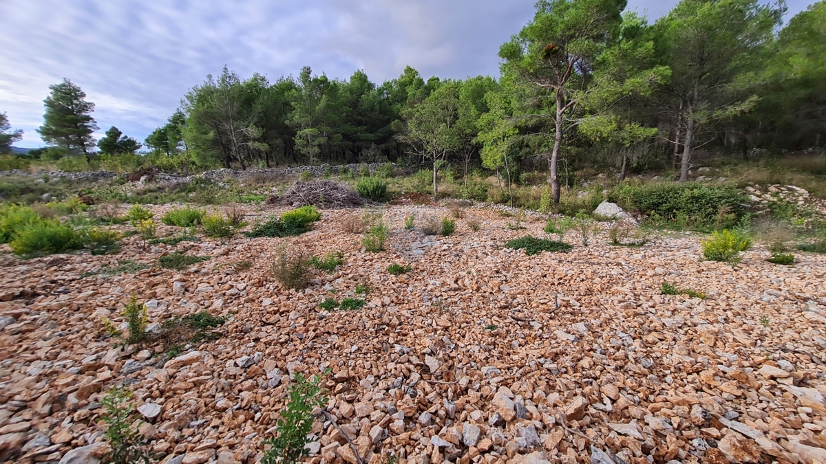 Terreno Dubrava Kod Šibenika, Šibenik - Okolica, 1.000m2