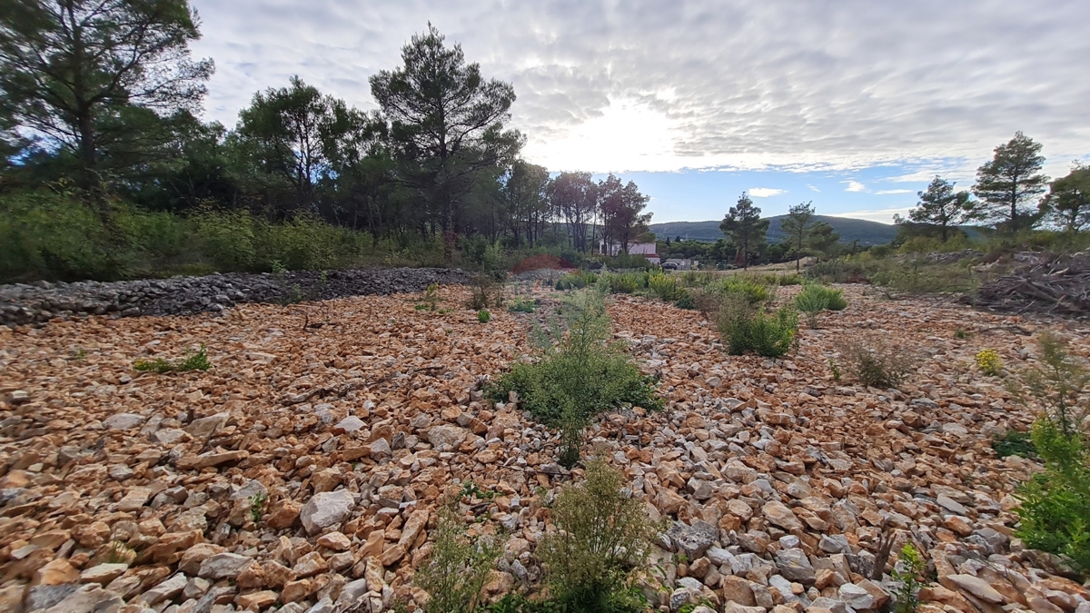 Terreno Dubrava Kod Šibenika, Šibenik - Okolica, 1.000m2