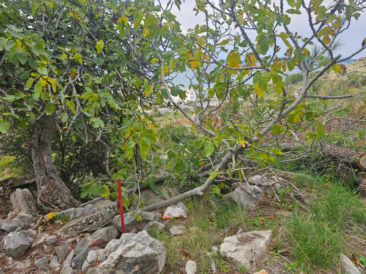 Terreno Žaborić, Šibenik - Okolica, 780m2