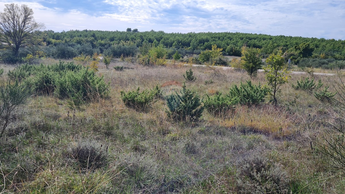 Terreno Velika Glava, Skradin, 2.722m2