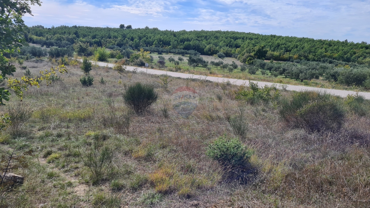 Terreno Velika Glava, Skradin, 2.722m2