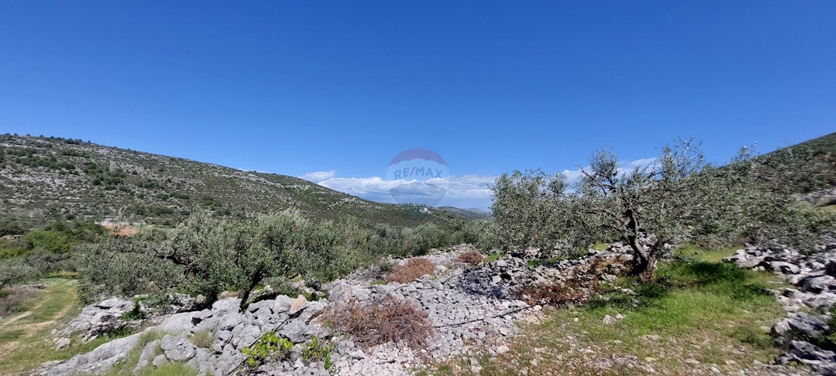 Arredato Uliveto 17345 m2, Rogoznica