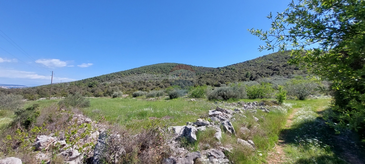 Arredato Uliveto 17345 m2, Rogoznica