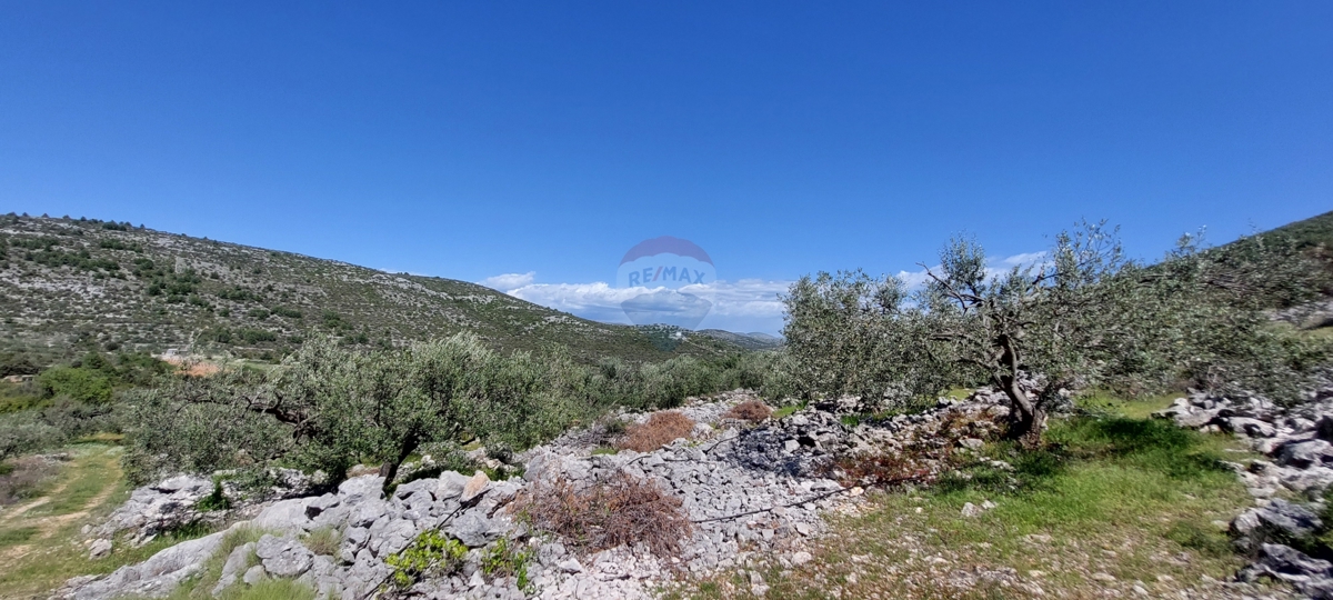 Arredato Uliveto 17345 m2, Rogoznica