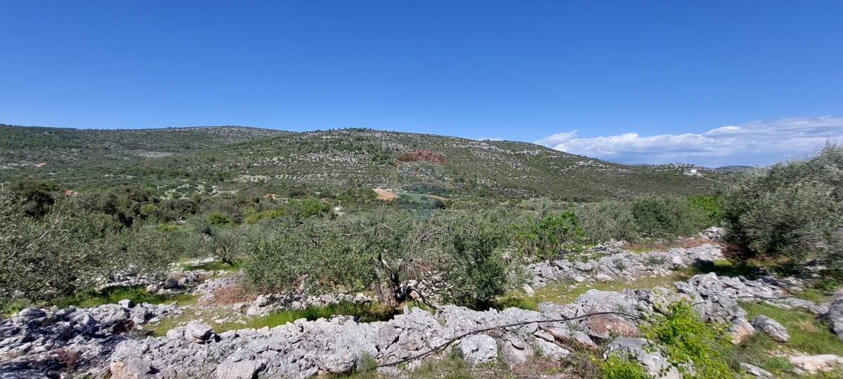 Arredato Uliveto 17345 m2, Rogoznica