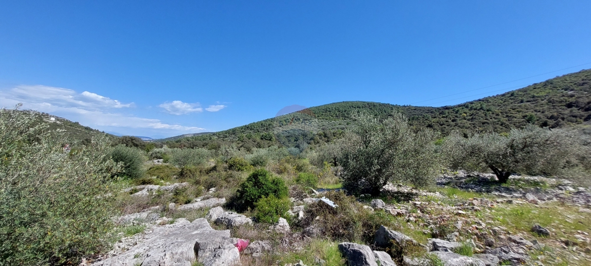 Arredato Uliveto 17345 m2, Rogoznica