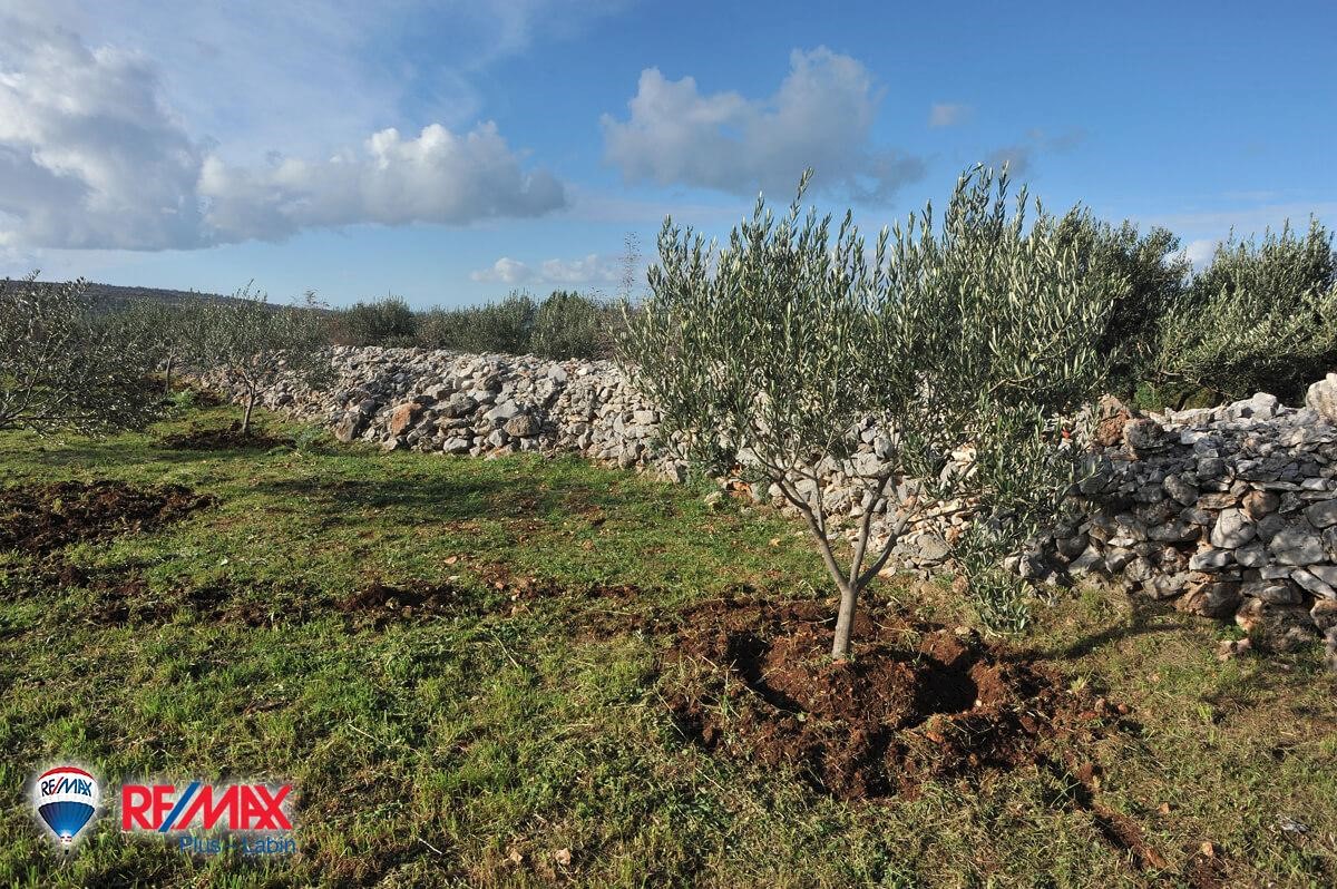 Terreni agricoli Fažana, 2.400m2