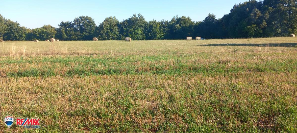 Terreni agricoli Pusti, Svetvinčenat, 8.182m2