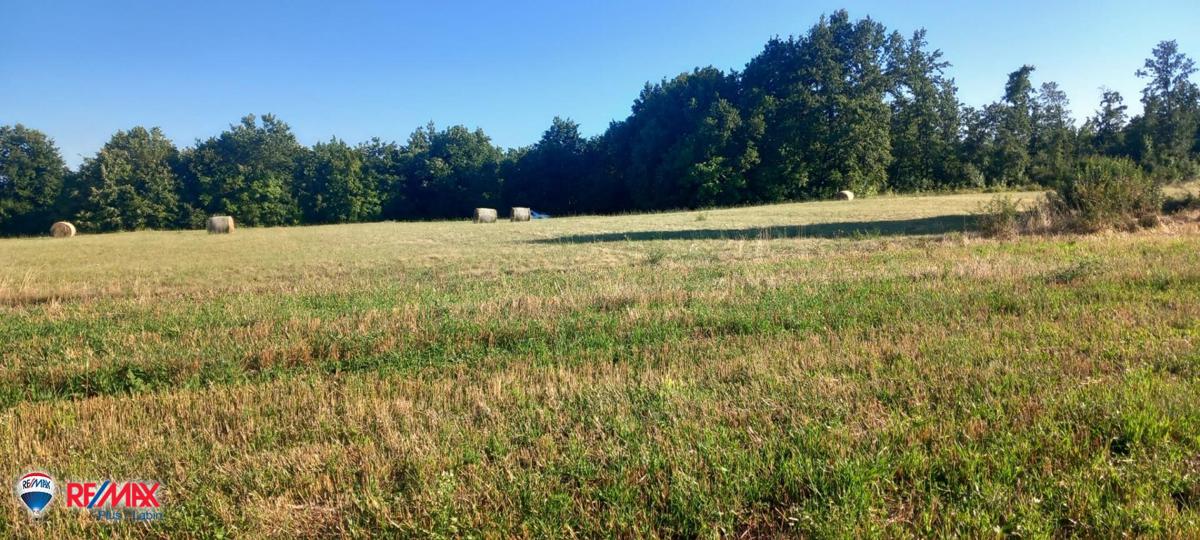 Terreni agricoli Pusti, Svetvinčenat, 8.182m2