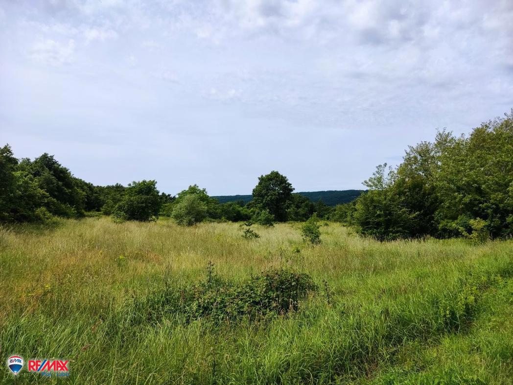 Terreni agricoli Labin, 10.886m2