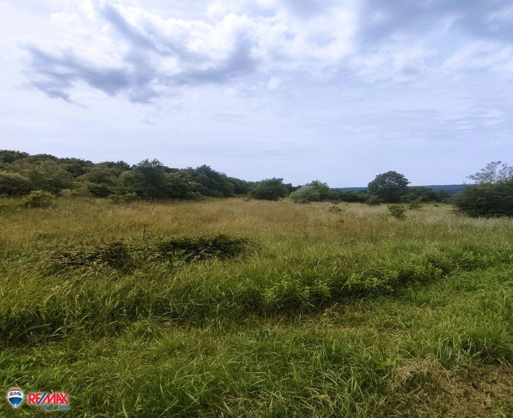 Terreni agricoli Labin, 10.886m2