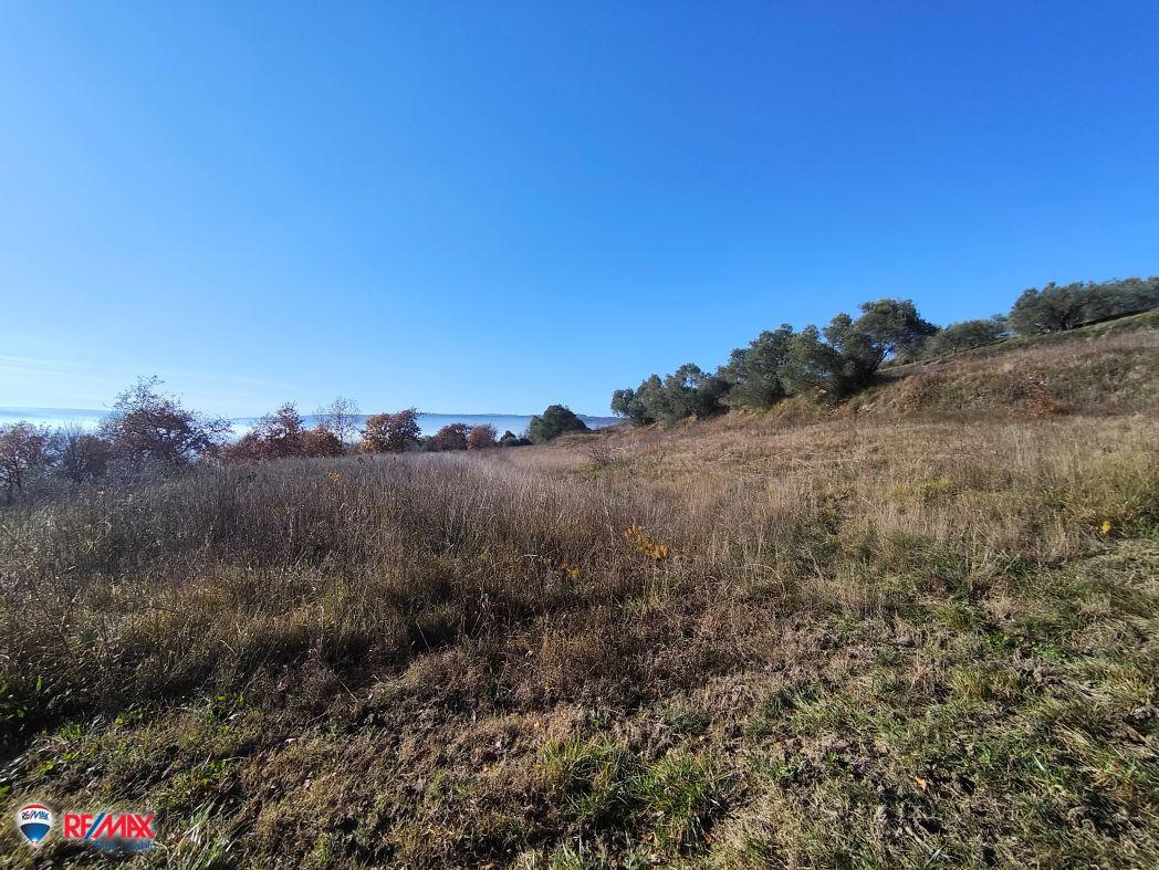 Cantiere Pićan, 12.337m2