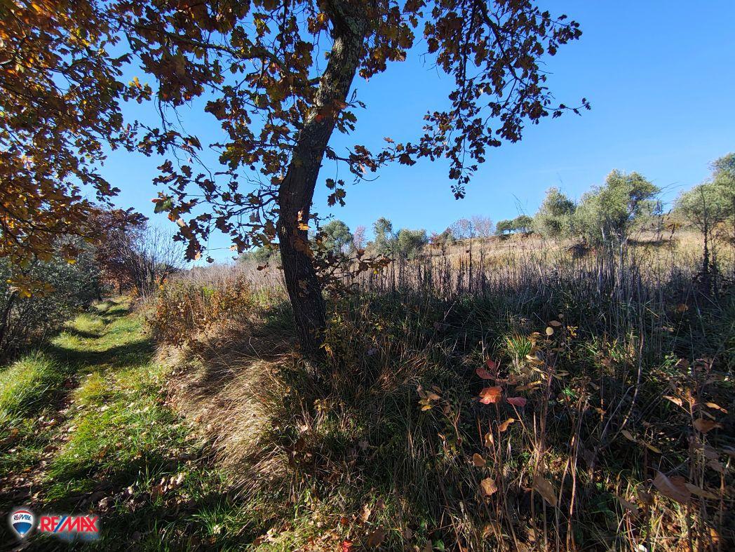 Cantiere Pićan, 12.337m2