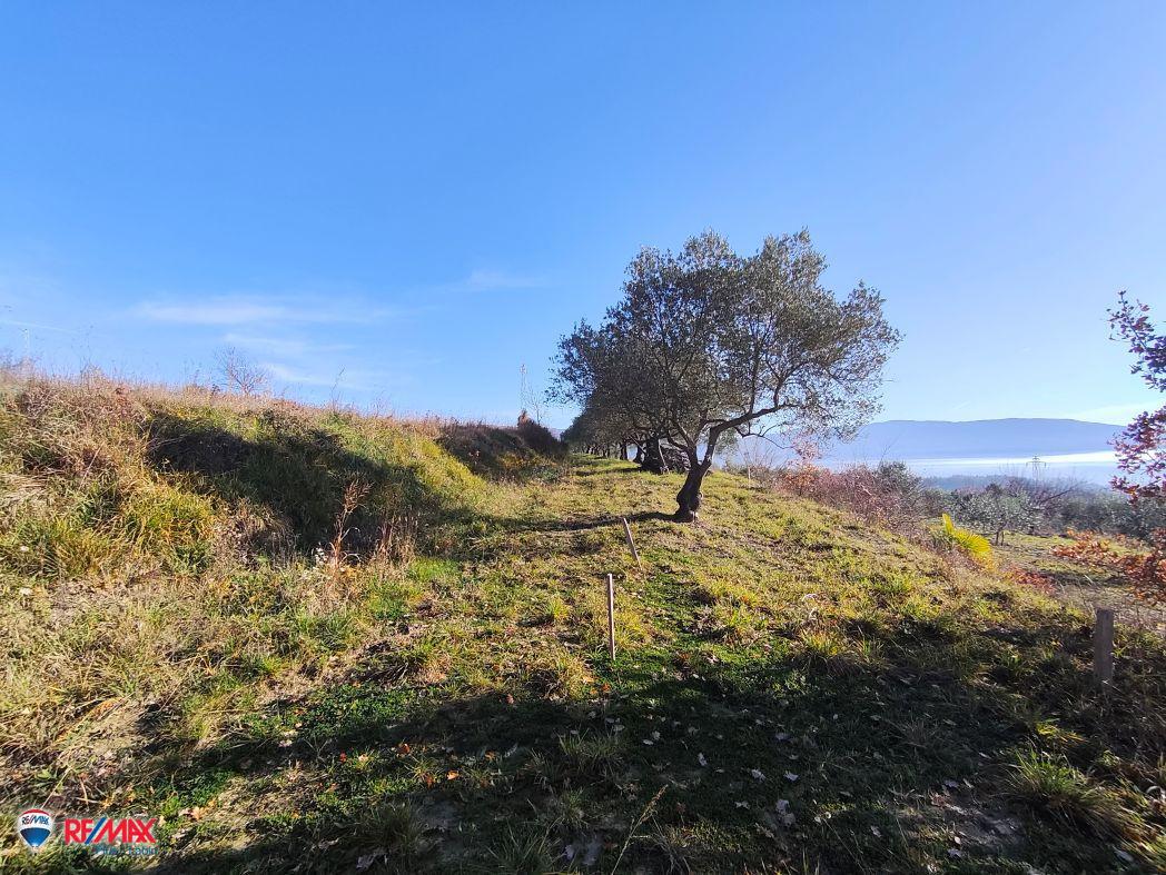 Cantiere Pićan, 12.337m2