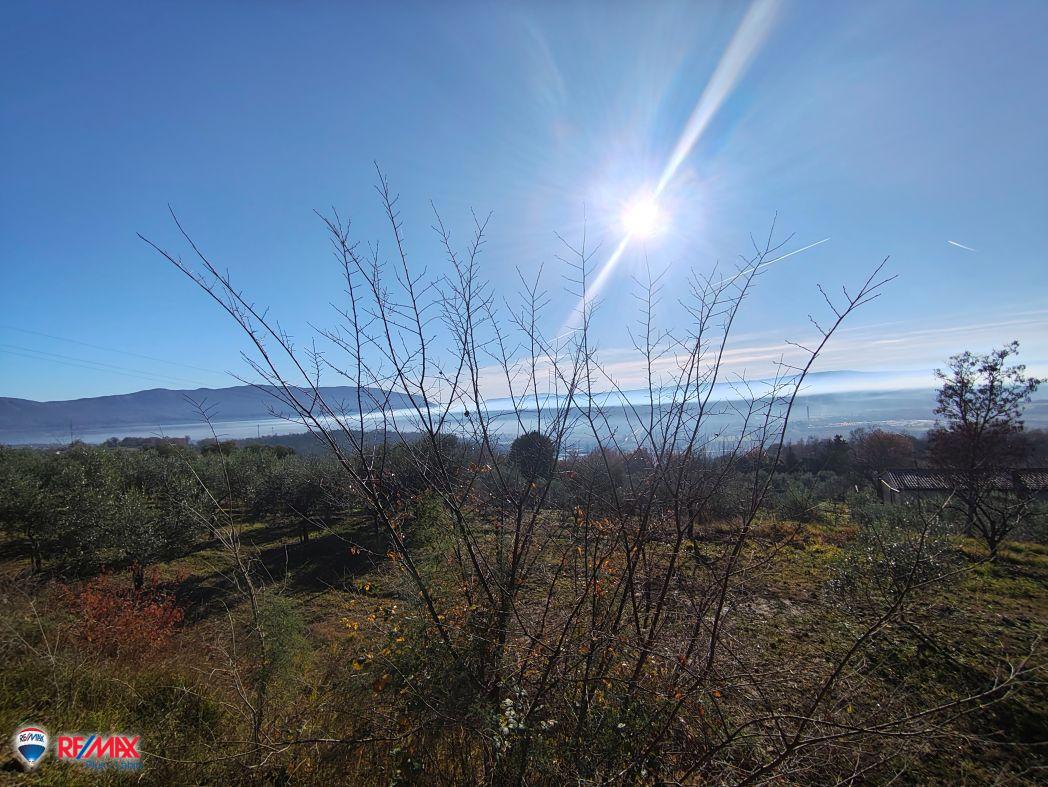 Cantiere Pićan, 12.337m2