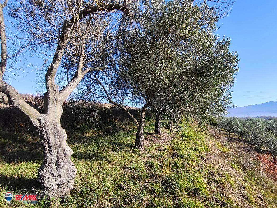 Cantiere Pićan, 12.337m2