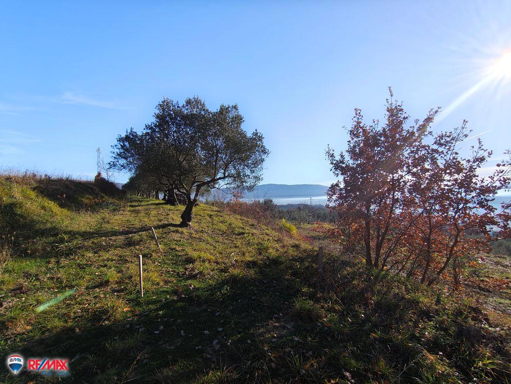 Cantiere Pićan, 12.337m2