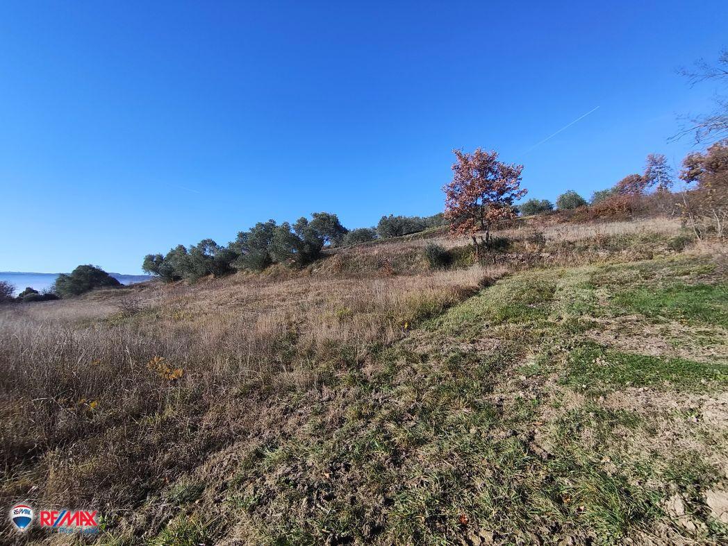 Cantiere Pićan, 12.337m2