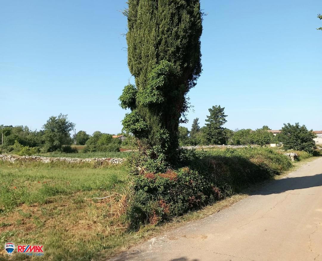 Cantiere Kanfanar, 503m2