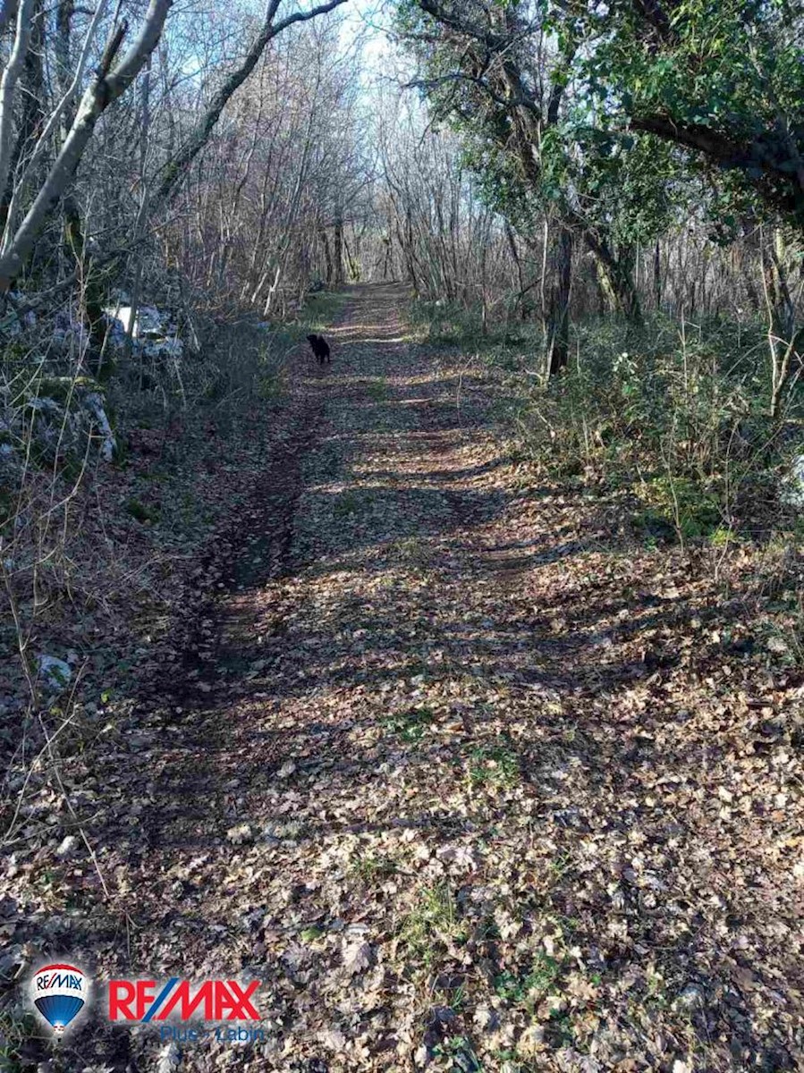 Terreni agricoli Šumber, Sveta Nedelja, 48.524m2