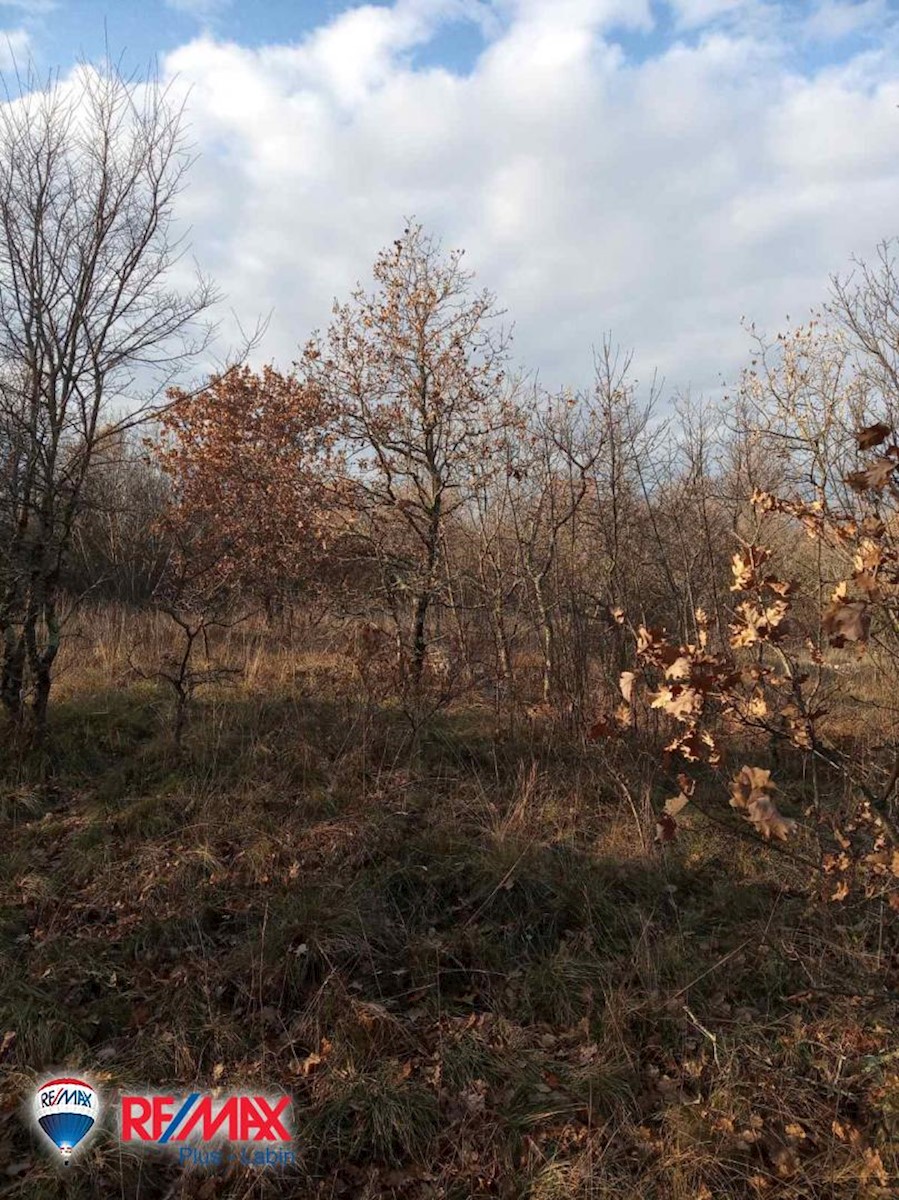 Terreni agricoli Šumber, Sveta Nedelja, 48.524m2