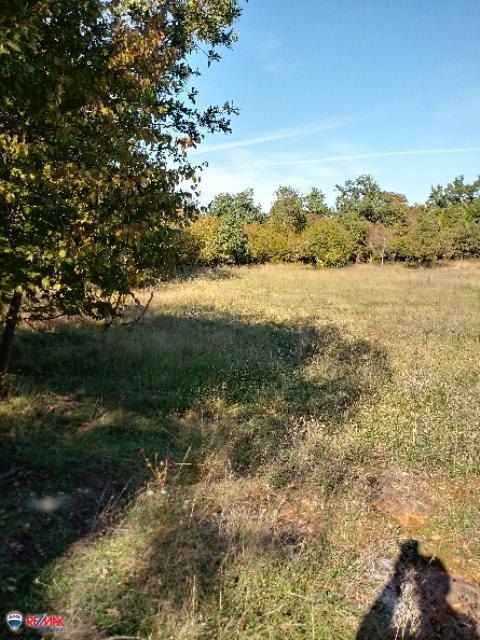 Cantiere Bonaci, Poreč, Matulini, Poreč, Istarska županija, 32.000m2