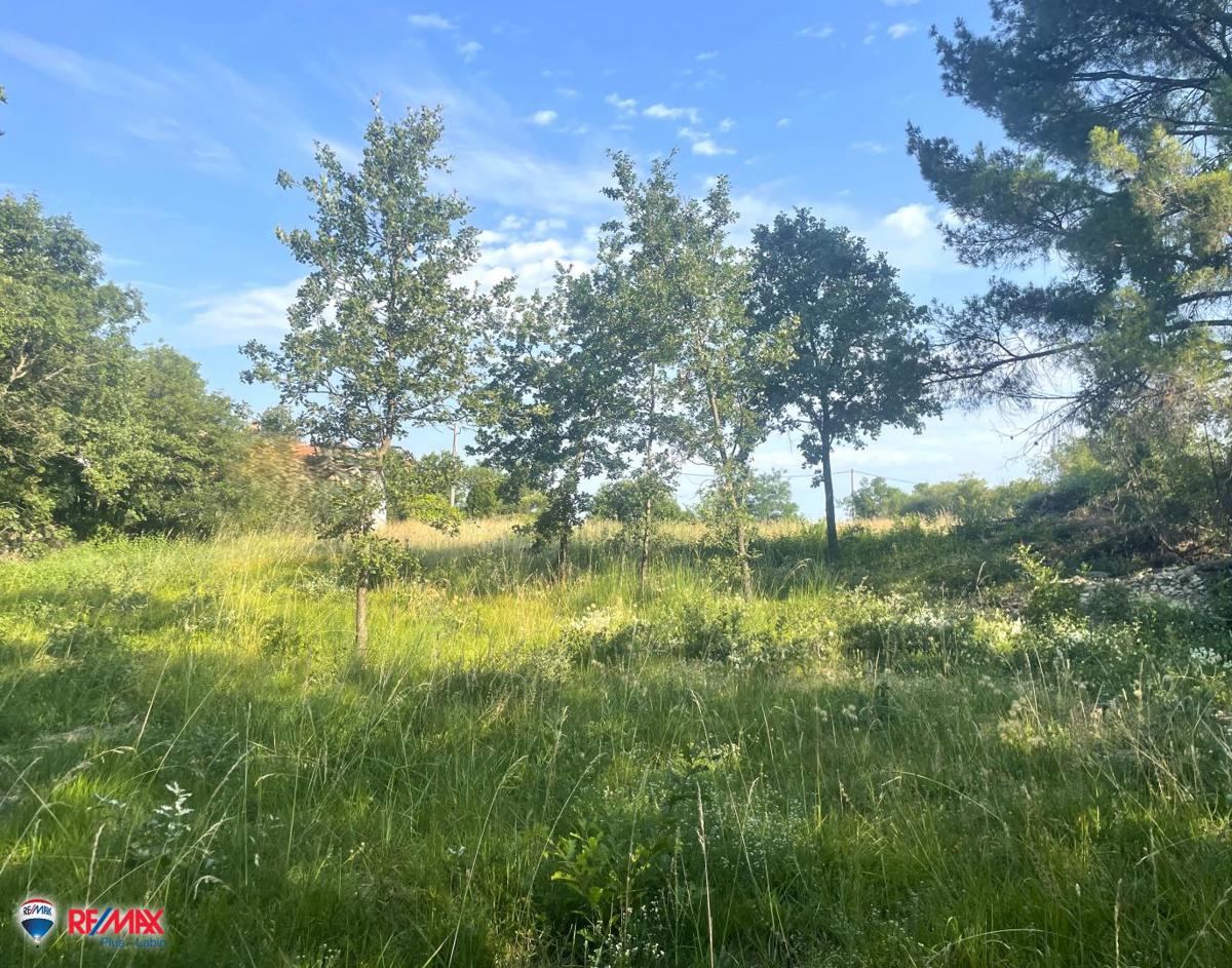 Cantiere Labin, 1.450m2