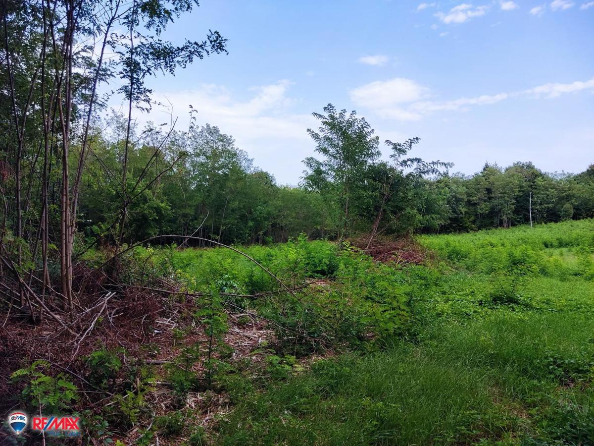 Cantiere Labin, 1.200m2