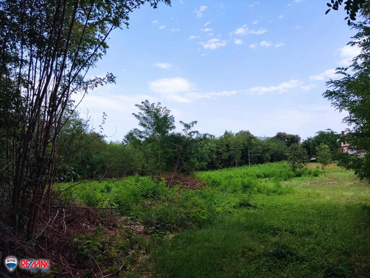 Cantiere Labin, 1.200m2