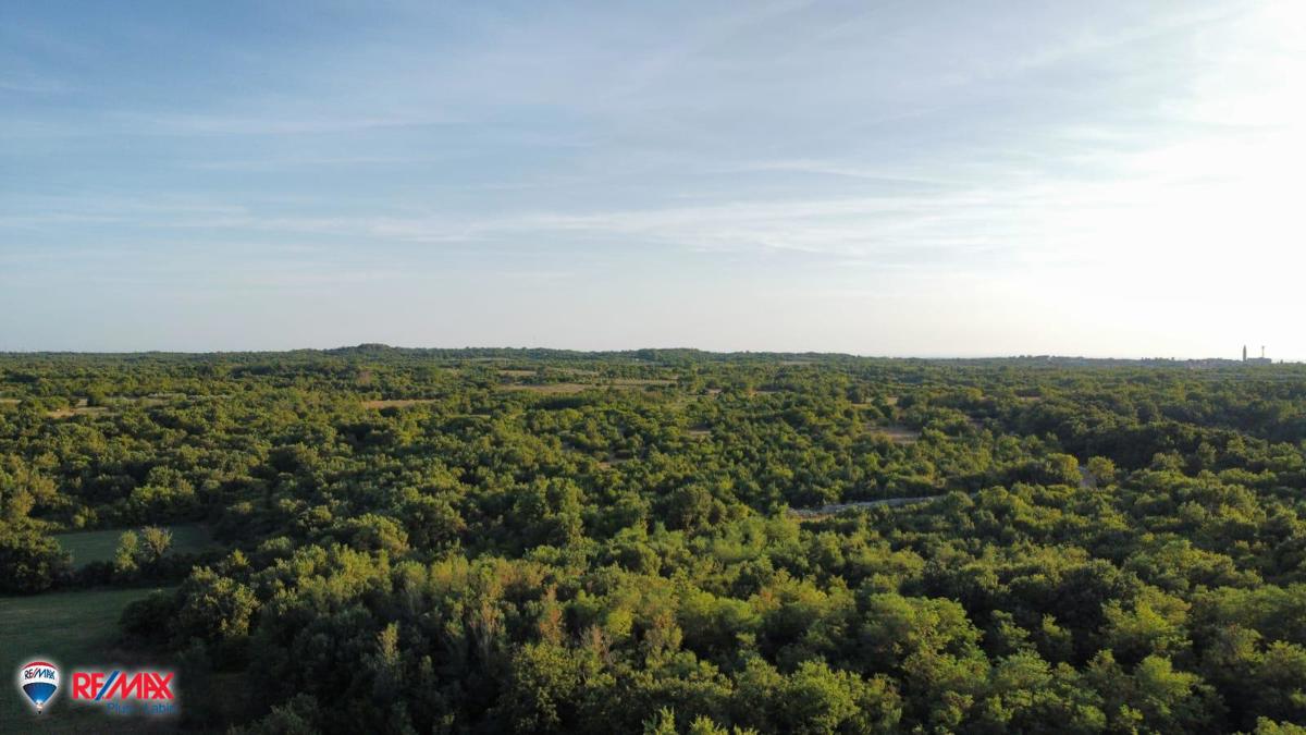 Cantiere Vodnjan, 8.000m2