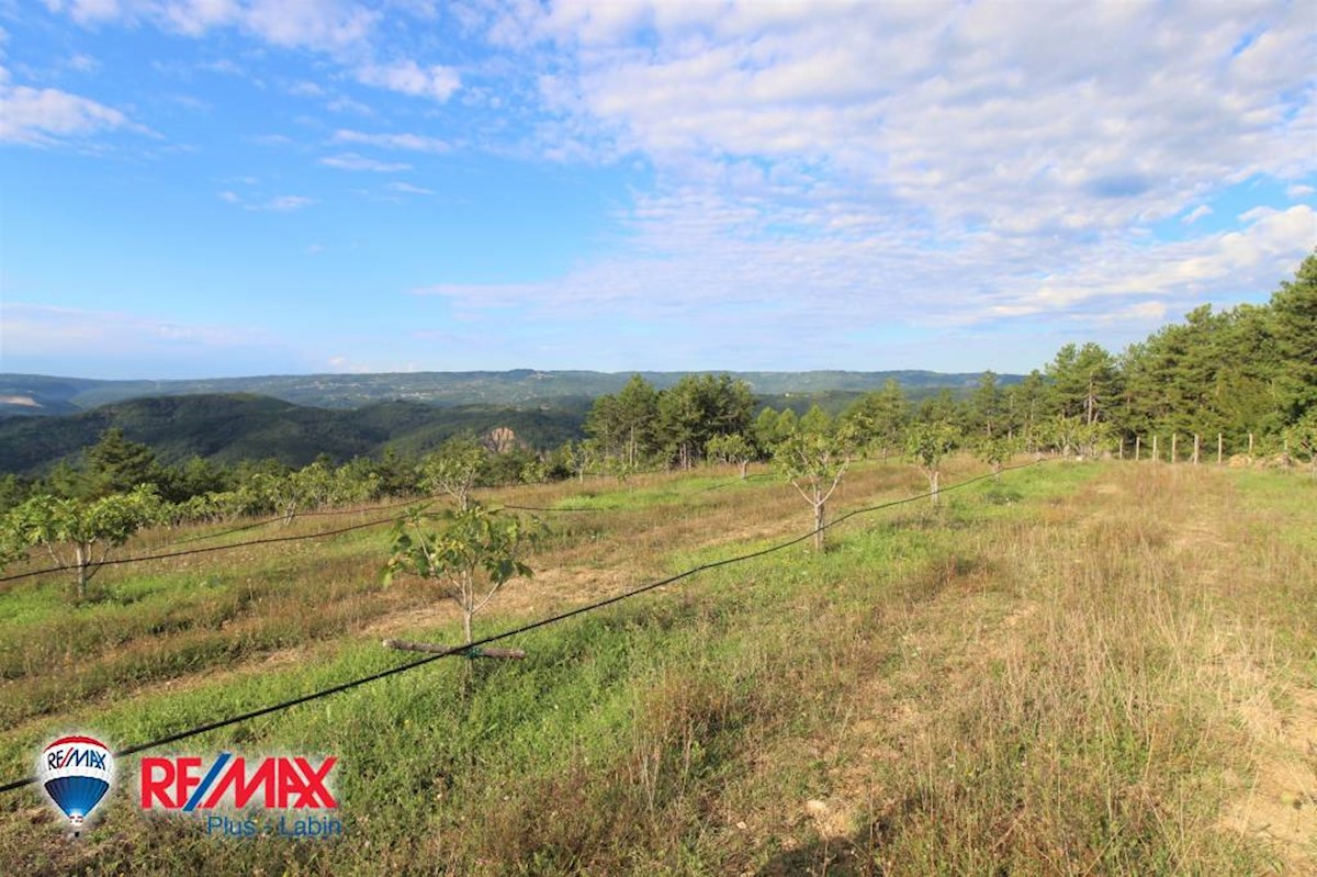 Terreni agricoli Kršan, 60.000m2