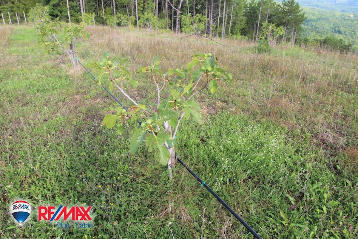 Terreni agricoli Kršan, 60.000m2