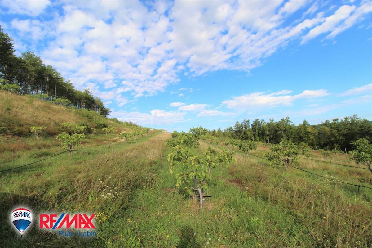 Terreni agricoli Kršan, 60.000m2