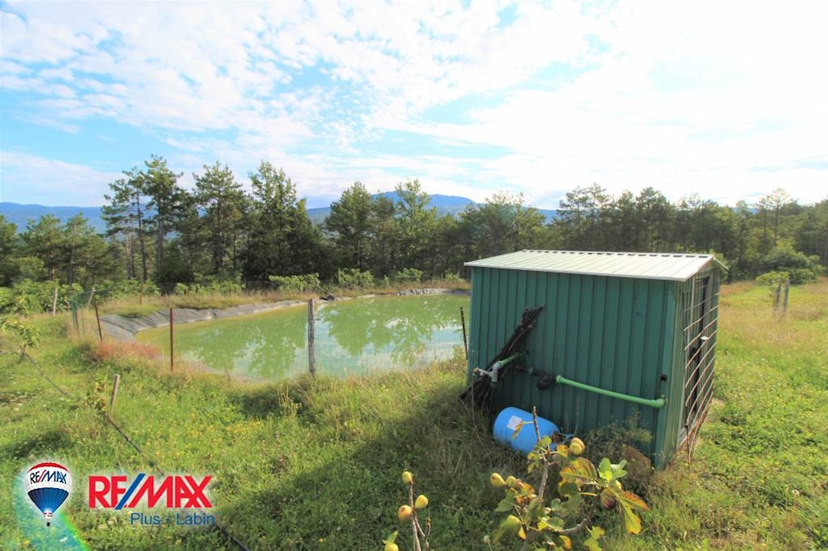 Terreni agricoli Kršan, 60.000m2