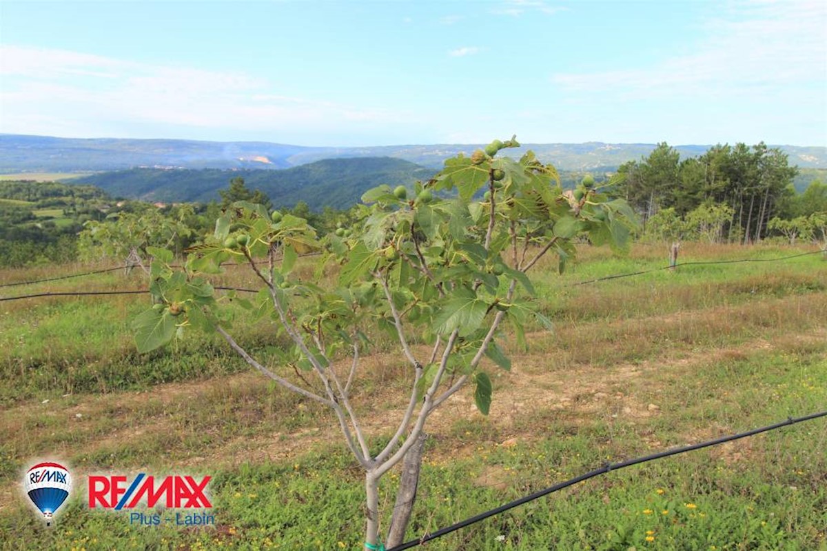 Terreni agricoli Kršan, 60.000m2