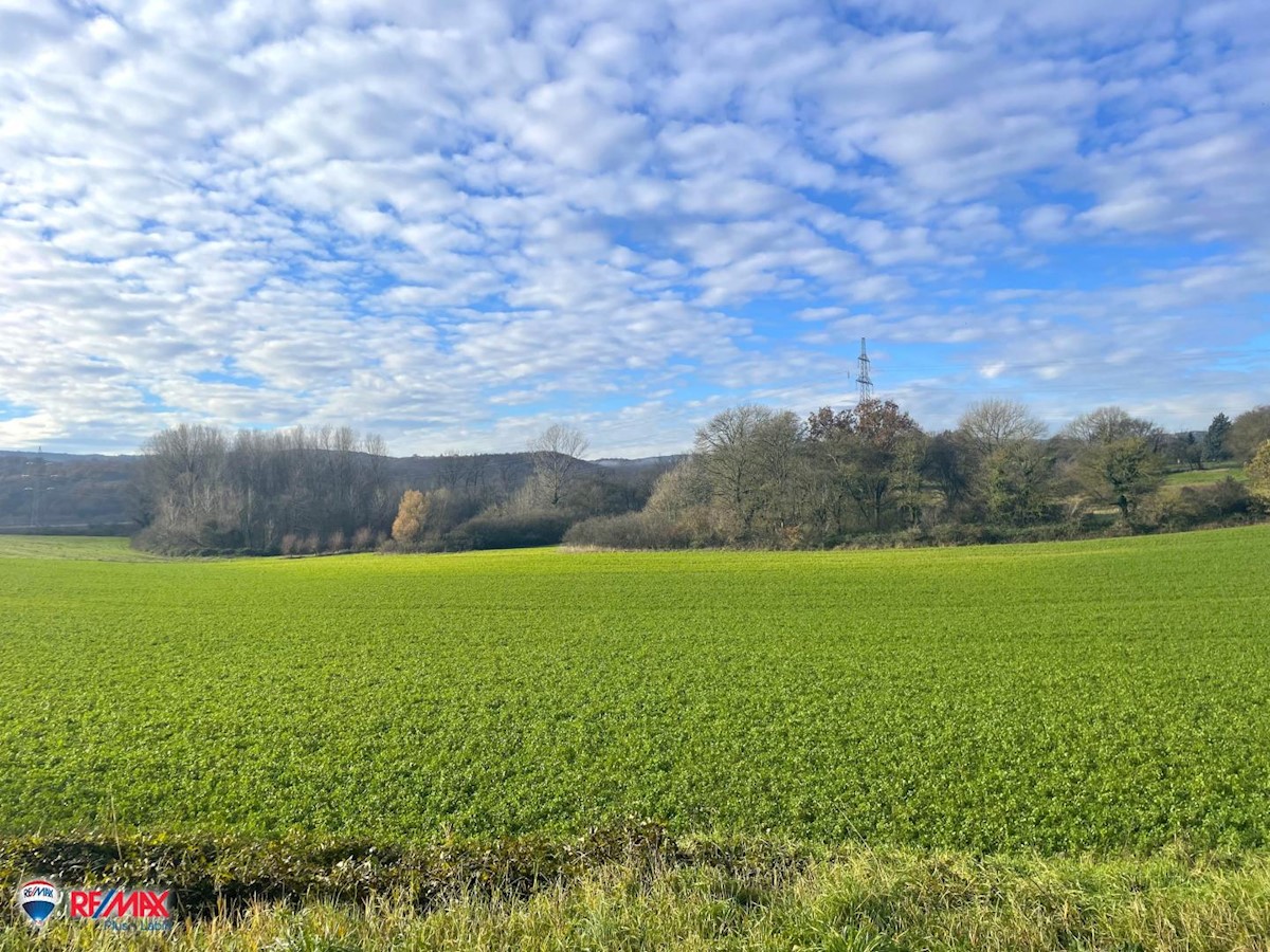 Terreni agricoli Kršan, 22.630m2