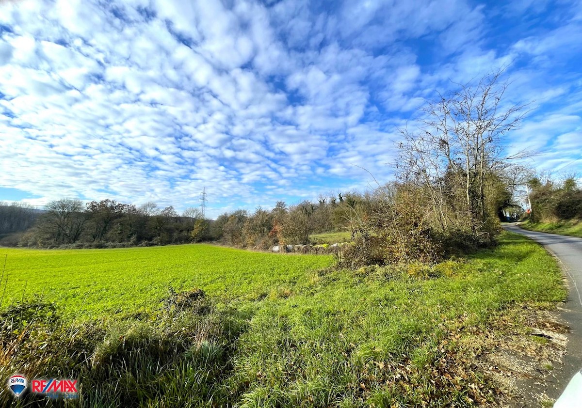 Terreni agricoli Kršan, 22.630m2