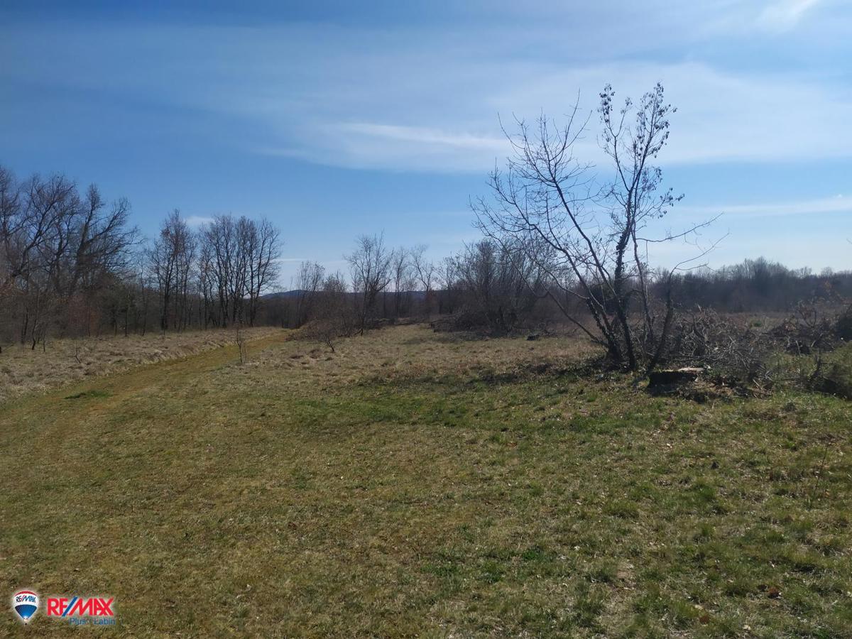 Terreni agricoli Labin, 14.167m2