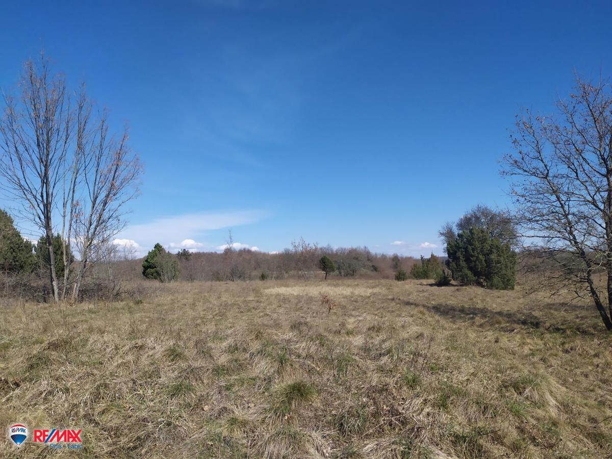 Terreni agricoli Labin, 14.167m2