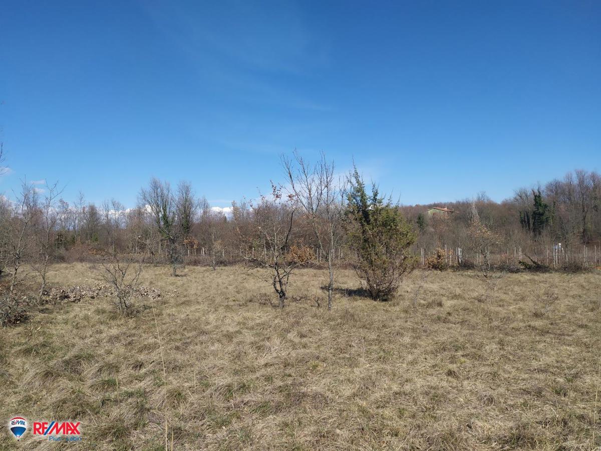 Terreni agricoli Labin, 14.167m2
