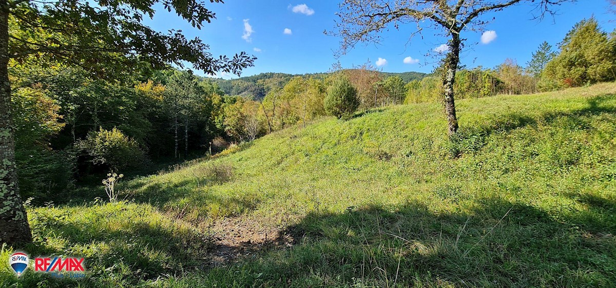 Casa Boljun, Lupoglav, 41.362m2