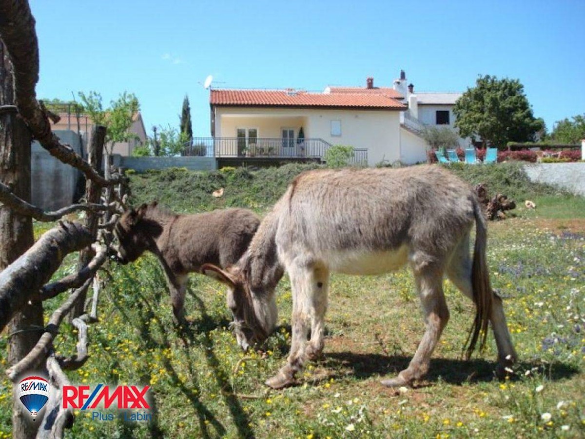 Casa Križanci, Žminj, 630m2