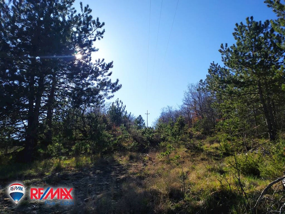 Terreni agricoli Lesišćina, Lupoglav, 36.994m2