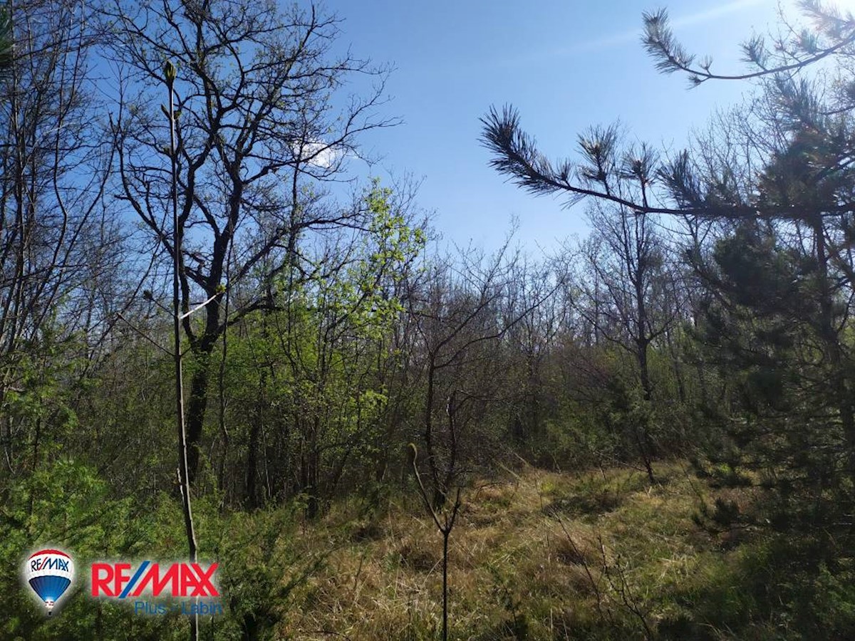 Terreni agricoli Lesišćina, Lupoglav, 36.994m2