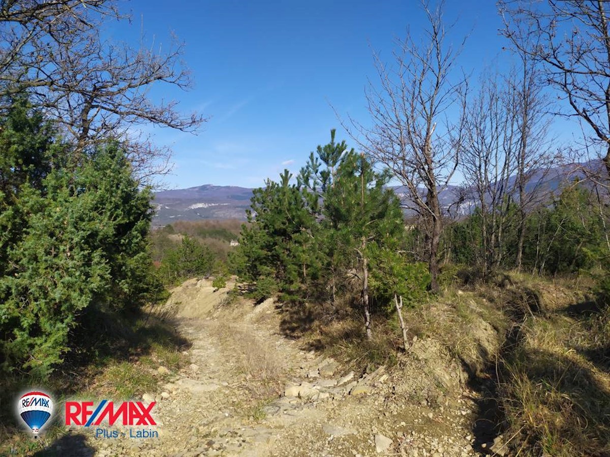 Terreni agricoli Lesišćina, Lupoglav, 36.994m2