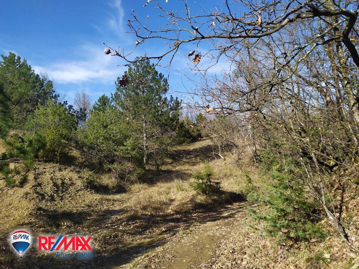 Terreni agricoli Lesišćina, Lupoglav, 36.994m2