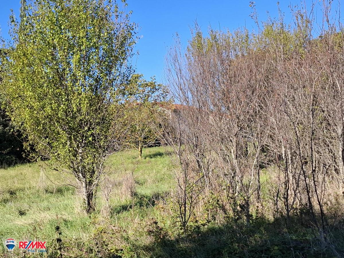 Cantiere Labin, 600m2