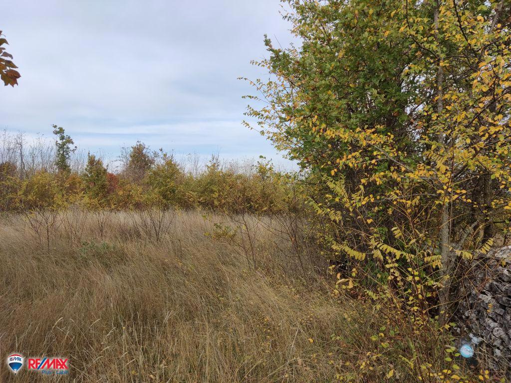 Terreni agricoli Labin, 20.635m2