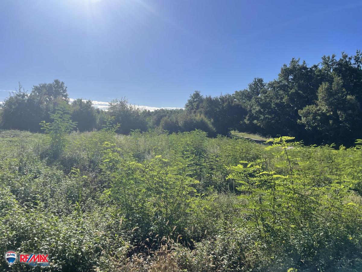 Cantiere Labin, 1.351m2